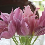 紫竹ガーデン　遊華　レストラン - 紫竹ガーデン