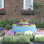 紫竹ガーデン　遊華　レストラン - 紫竹ガーデン