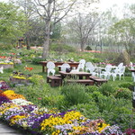 紫竹ガーデン　遊華　レストラン - 紫竹ガーデン