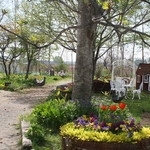 紫竹ガーデン　遊華　レストラン - 紫竹ガーデン