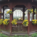 紫竹ガーデン　遊華　レストラン - 紫竹ガーデン