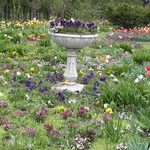 紫竹ガーデン　遊華　レストラン - 紫竹ガーデン