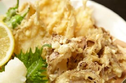 ゆず 裾野 居酒屋 食べログ