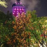 Terrace Dining TANGO - 