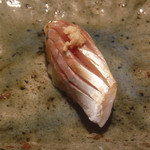 寿し おおはた - 