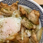 吉野家 - 山椒をふって､鶏臭さが軽減されます