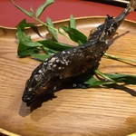 くろぎ - 琵琶湖産