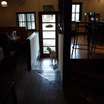 ハミングバード - 愛犬のふうちゃんが迎えてくれる