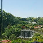 ガーデンラウンジ - 窓際席でなくても、綺麗な庭園が見えました