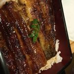 Unagi Nanatsuboshi - 