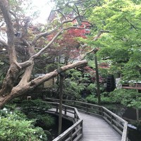 うかい鳥山 - 