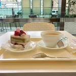 カフェ・ディ・フェスタ - 苺と抹茶の桜ショート 2017/03/23