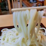 総本家 朝日屋 - うどんのアップ