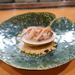 鮨松榮 - 蛤 鹿嶋産