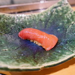 鮨松榮 - 中トロ 京都府舞鶴産