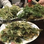 金ちゃん - 山菜の天ぷら(たらの芽、しどけ、ウドの葉)