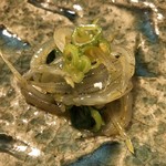 鰻はし本 - 十和田湖の白魚の昆布締めのナムル