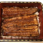 鰻はし本 - 横山さんの鰻の鰻重