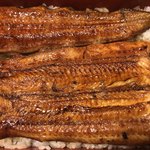 鰻はし本 - 横山さんの鰻の鰻重