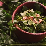 Chewy coriander salad