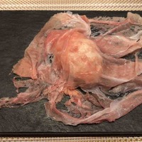 SUGALABO - 