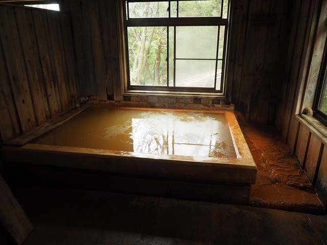 本沢温泉 - 苔桃の汤(男汤)