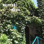 湯島食堂 - 怪しく？ナチュラル？な建物