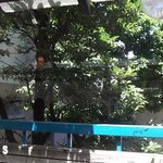 湯島食堂 - バルコニーの緑が気持ちいい