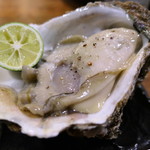 酒亭 ぷくぷく - 島根産岩牡蠣