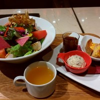 世界のワイン博物館 グランフロント大阪店  - 