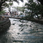 龢 - 【H23.7】夏の広瀬川の夕暮れ。木陰で暫し涼む。