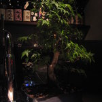 龢 - 【H23.7】カウンター上。