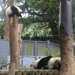 上野動物園　西園食堂 - 