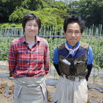 Yokohama Momijizaka Nihonshu Fujihira - 朝採り野菜の矢島農園さん。