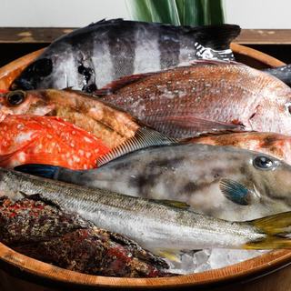 船上神経〆鮮魚