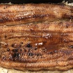 鰻はし本 - 鰻弁当い