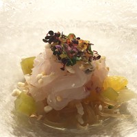 京 静華 - 