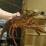 富小路 やま岸 - 