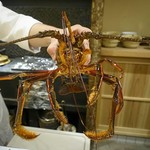 富小路 やま岸 - 