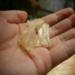 富小路 やま岸 - 