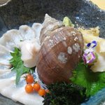 Tomarigi - ホッケ、つぶ貝刺身