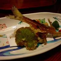 天ぷら 松 - 鮎の揚げ物