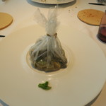 プレヴナンス - 30年5月　フキノトウ　ネマガリダケ　コゴミ　ウルイ　ワラビ 　ドイツトウヒ　五島列島アオハタ