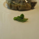 プレヴナンス - 30年5月　フキノトウ　ネマガリダケ　コゴミ　ウルイ　ワラビ 　ドイツトウヒ　五島列島アオハタ