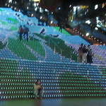 サザンコート - 梅雨の花１すいれん