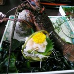 リゾートヒルズ豊浜 蒼空の風 - 伊勢えびのお刺身