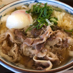 瀬戸うどん - 肉玉うどん 並 590円。