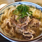 Seto Udon - 肉玉うどん 並 590円。