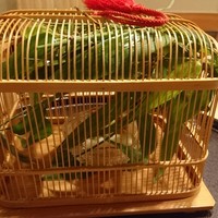 和ごころ 泉 - 