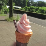 パークスローズガーデン 都立神代植物公園 都立神代植物公園ばら売店 西調布 アイスクリーム 食べログ
